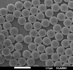 Porous Polystyrene Particles, 40-50 um, 100A-COOH