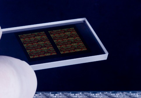 DNA-Chip Analyzer (dChip)